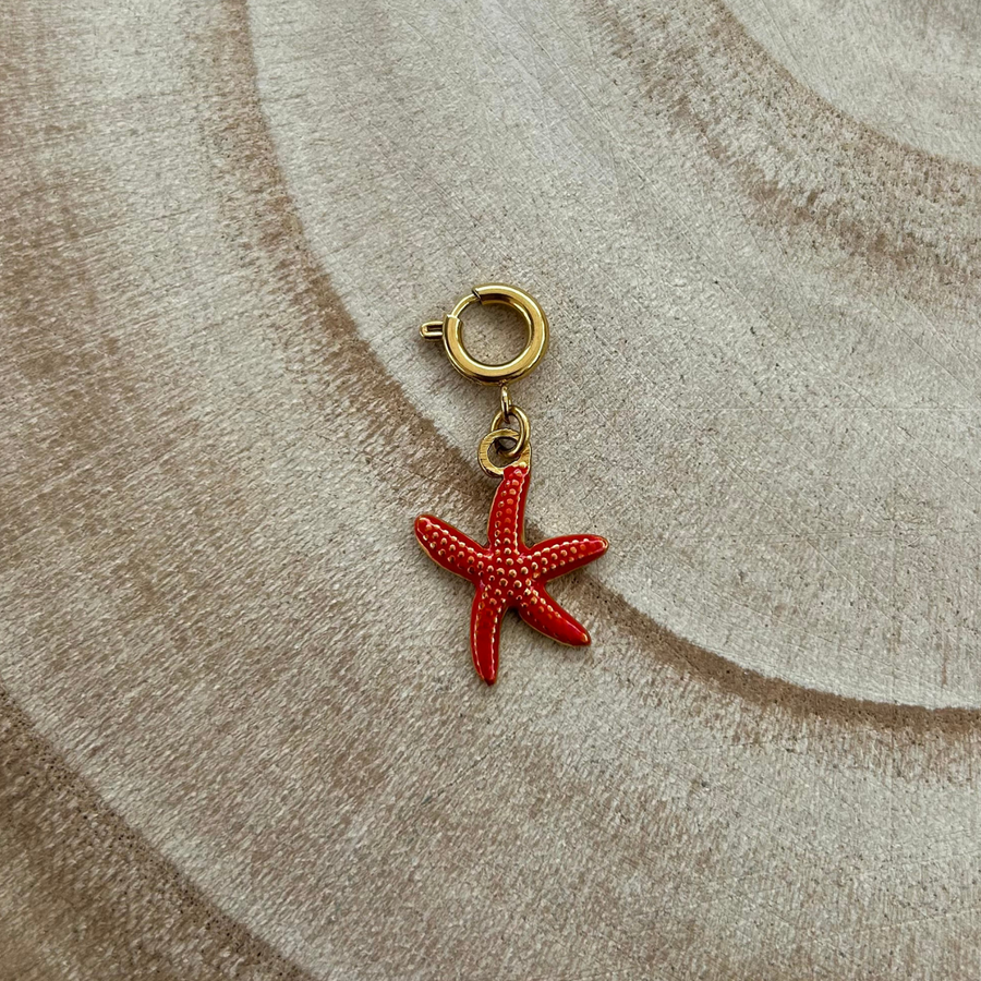 Bijou de maillot de bain - étoile de mer