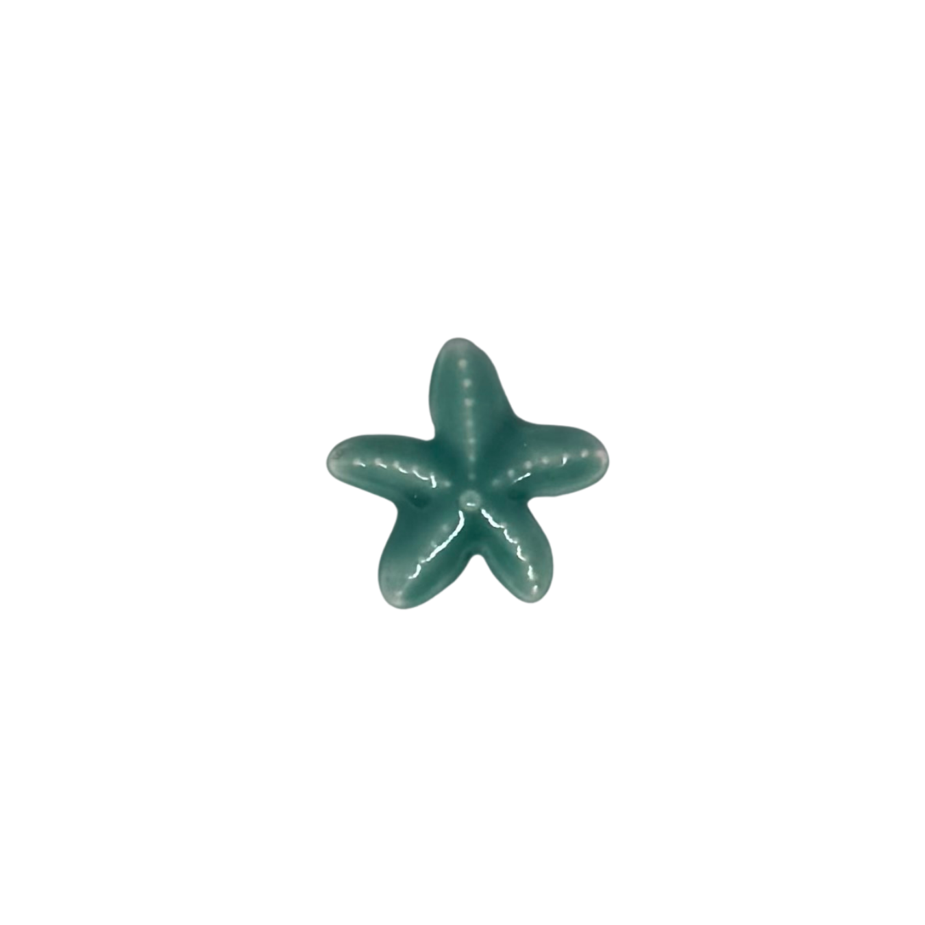 Charm étoile de mer