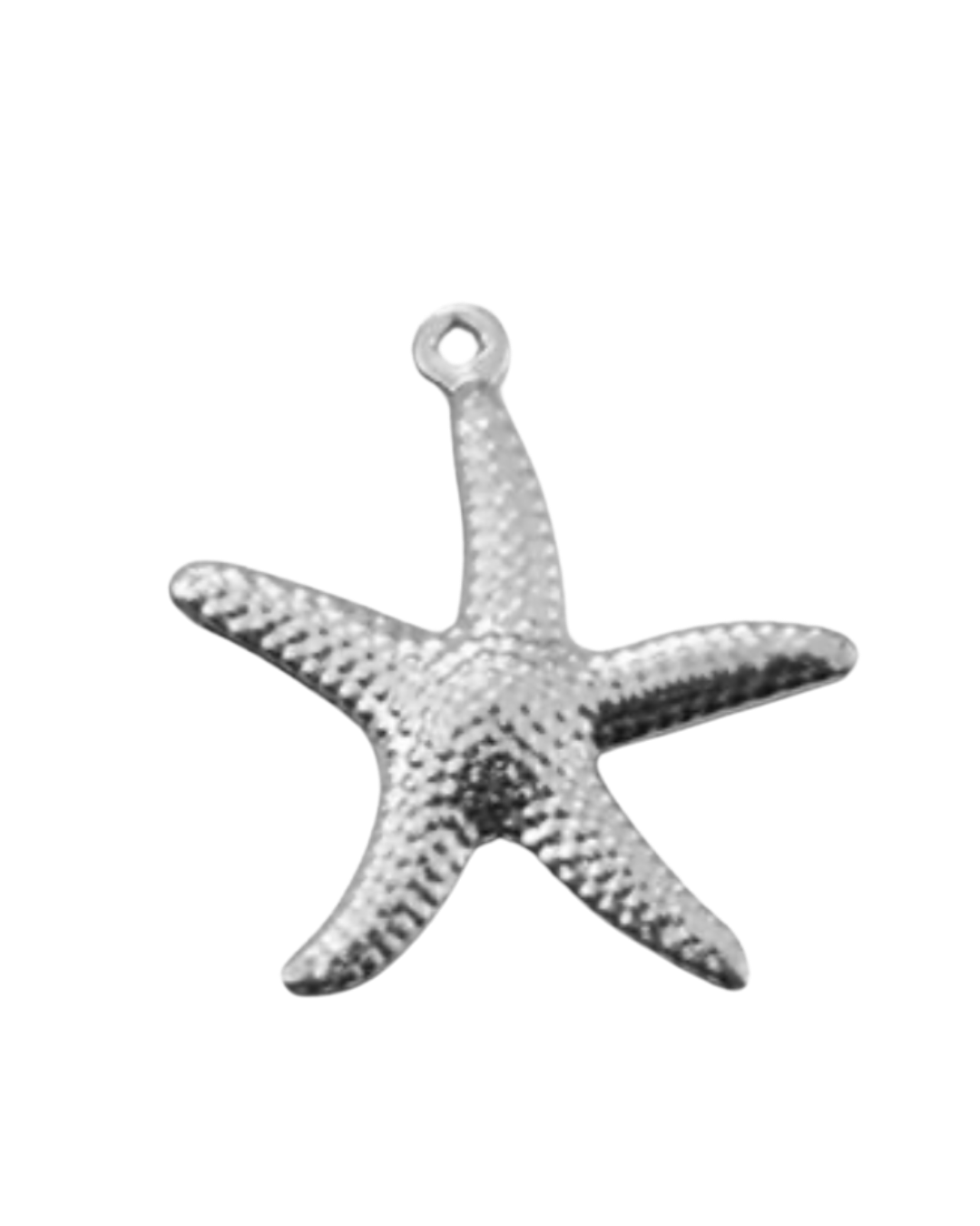 Charm étoile de mer
