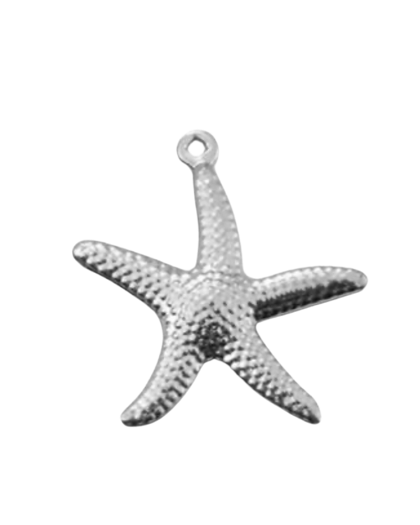 Charm étoile de mer