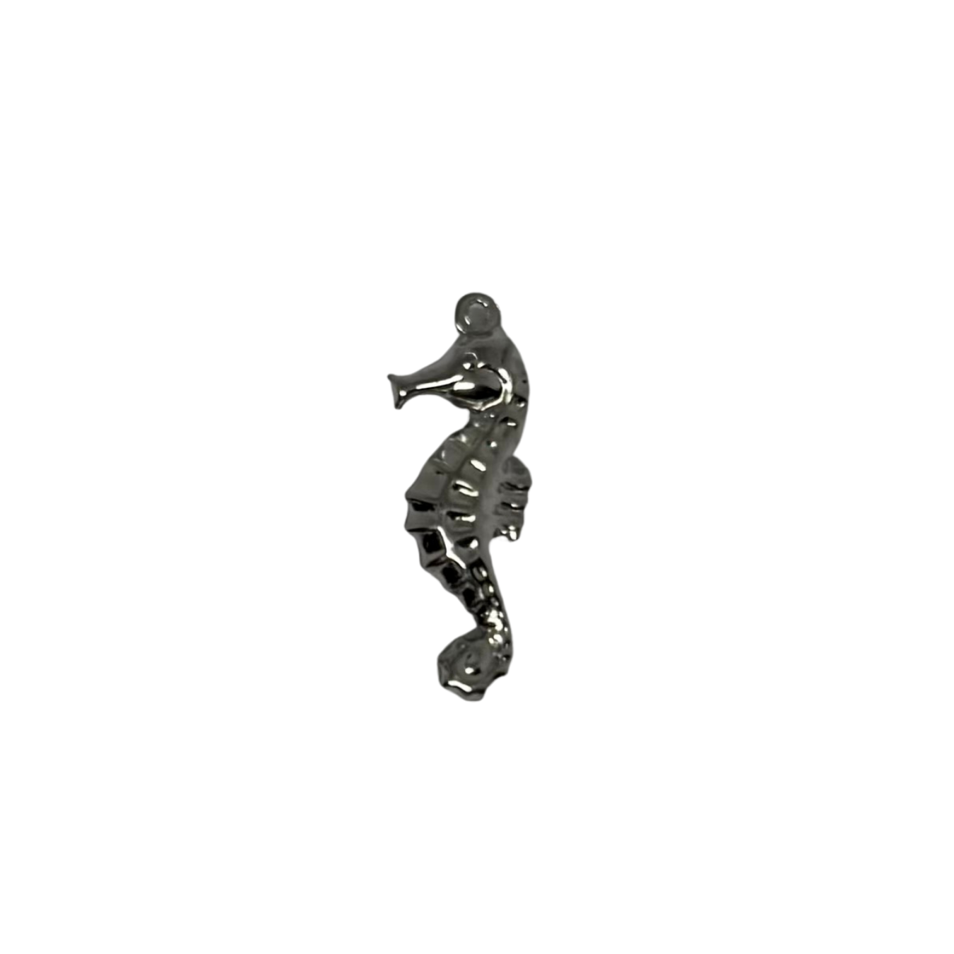 Charm hippocampe
