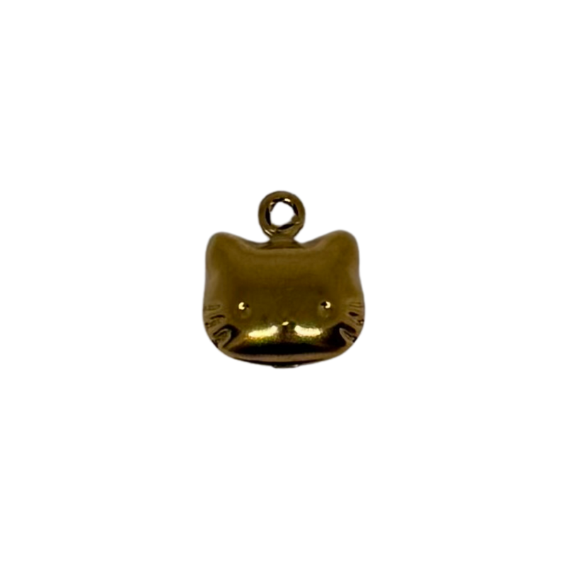 Charm chat