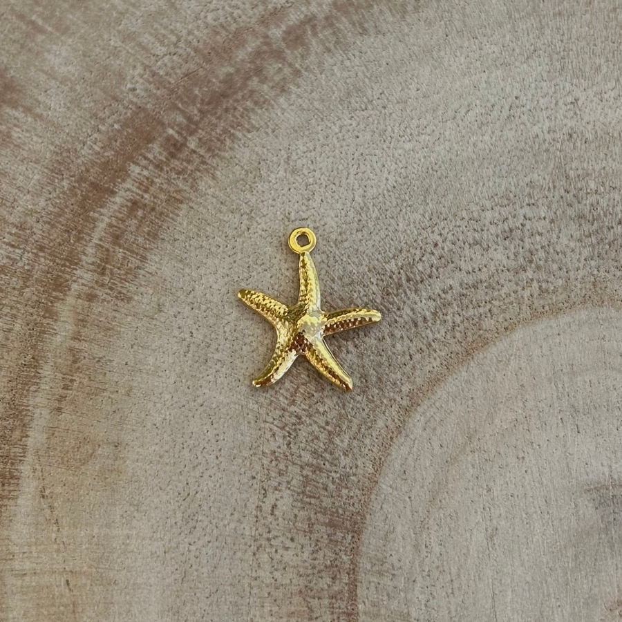 Charm étoile de mer