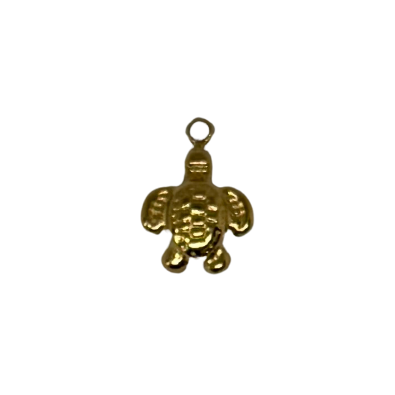 Charm tortue