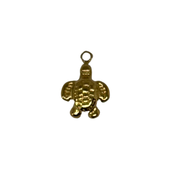 Charm tortue