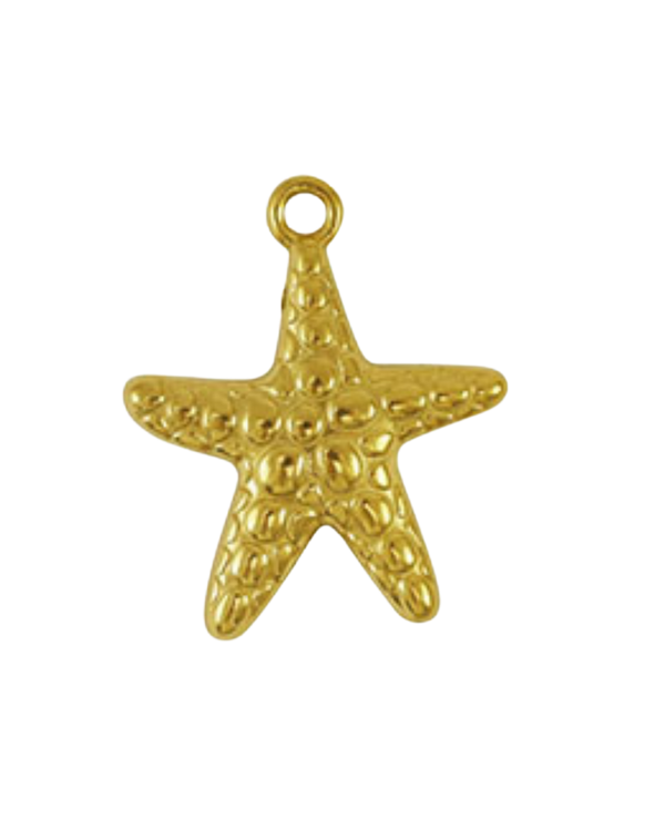 Charm étoile de mer