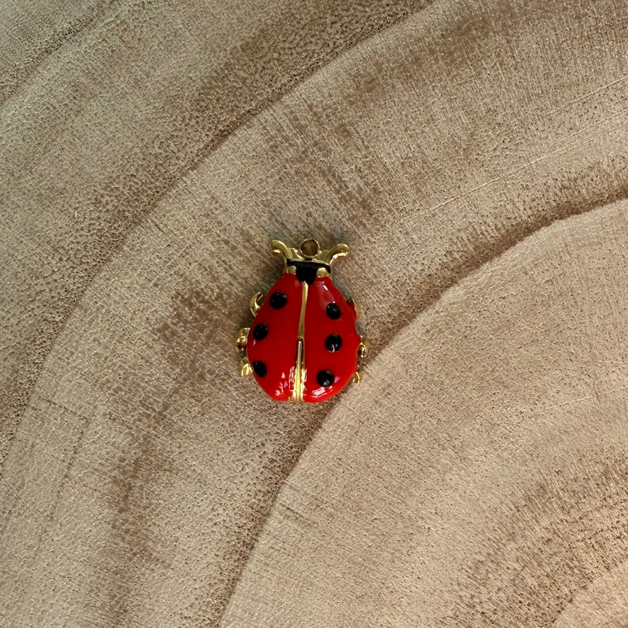 Charm coccinelle
