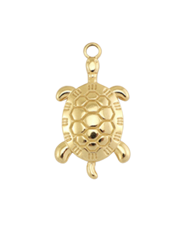 Charm tortue