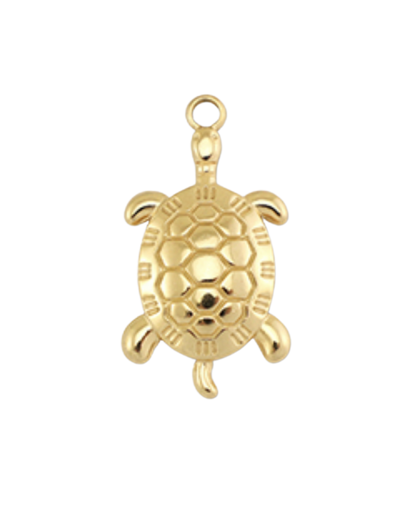 Charm tortue