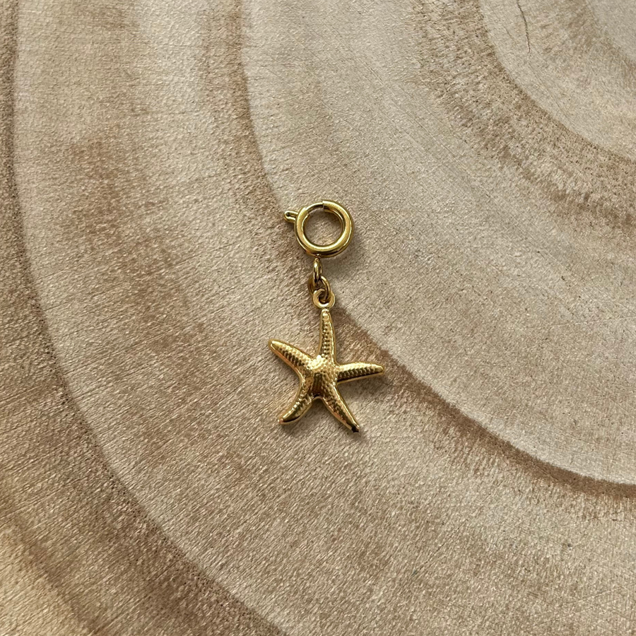 Bijou de maillot de bain - étoile de mer