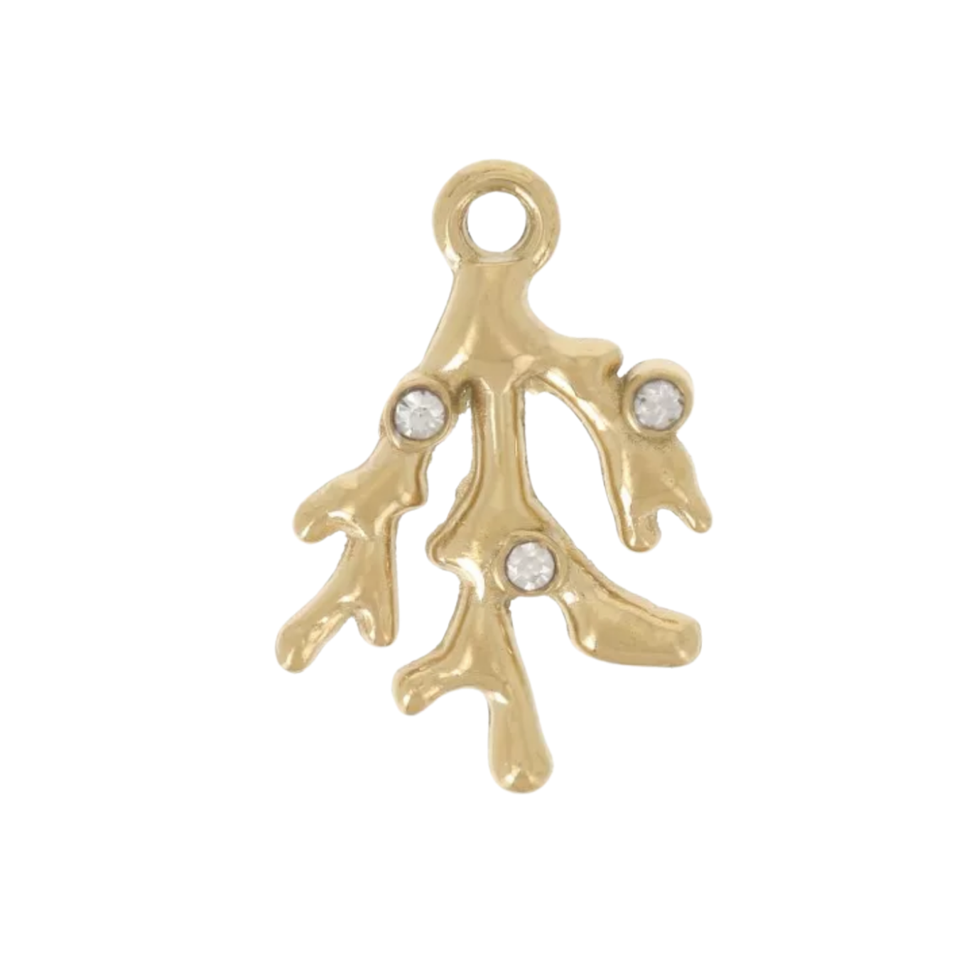 Charm corail