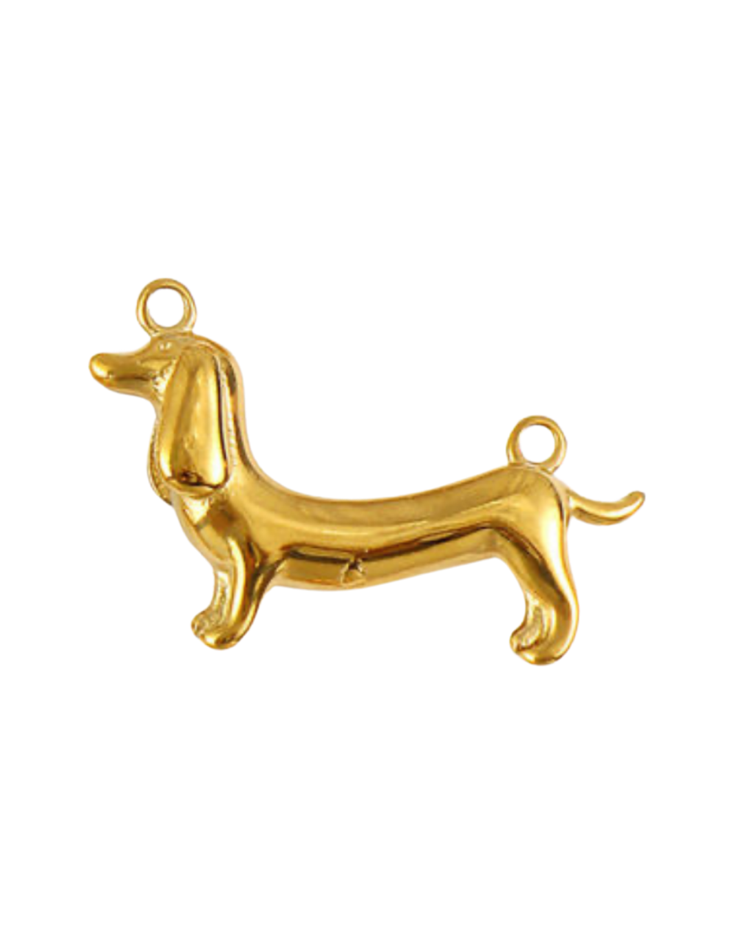Charm chien
