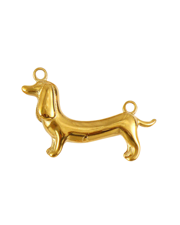 Charm chien