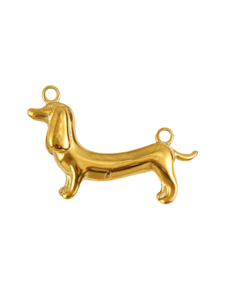 Charm chien