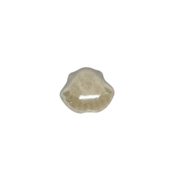 Charm coquillage