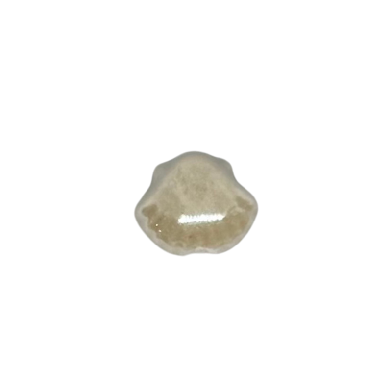Charm coquillage