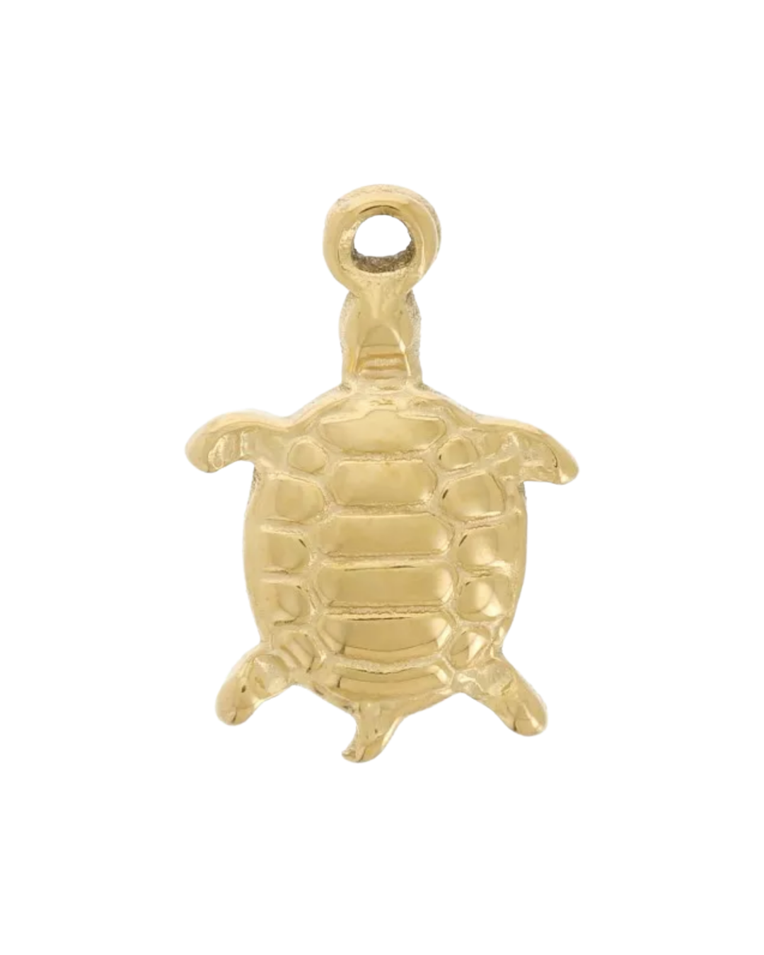 Charm tortue
