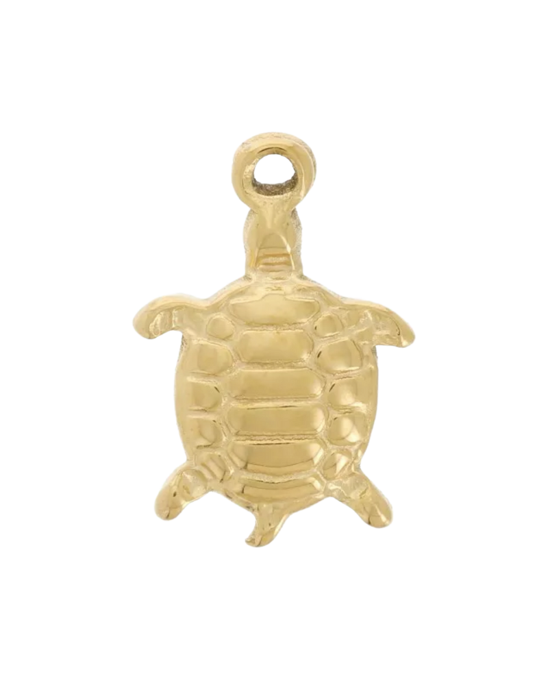 Charm tortue